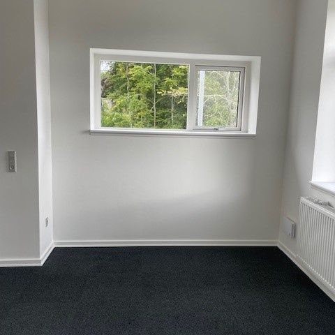 Dejlig 1-værelses lejemål i Ringe - Photo 1