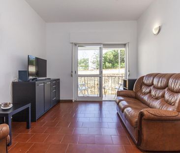 Estrada da Ponta da Piedade - Photo 2