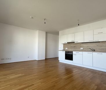 Kompakte 3-Zimmer-DG-Wohnung mit MEGA-WEST-TERRASSE (23m²) nahe Aka... - Photo 3