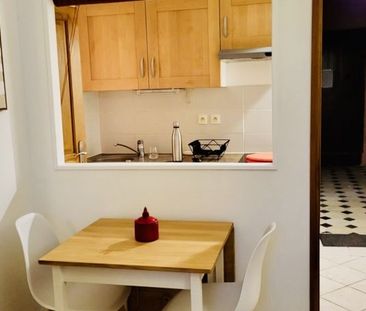 Location Appartement P1 Appartement T1 Meublé rénové(e) Roquemaure - Photo 5