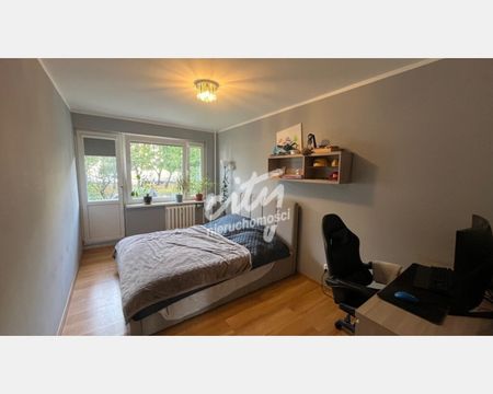 Szczecin - Фото 2