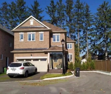 For Lease - 15 Wildflower Way Unit# Bsmt, Toronto, Ontario - Photo 4