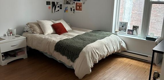 Grand 31/2 Sherbrooke Centre-ville - Photo 2