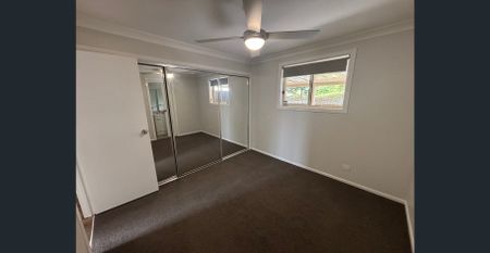 NEAT AS A PIN - Photo 3