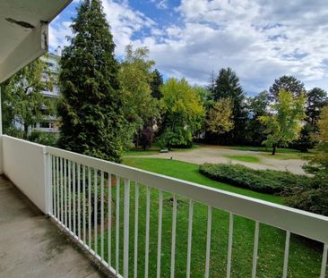 Location appartement 1 pièce - Photo 5