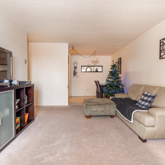 Unit 313 - Photo 1