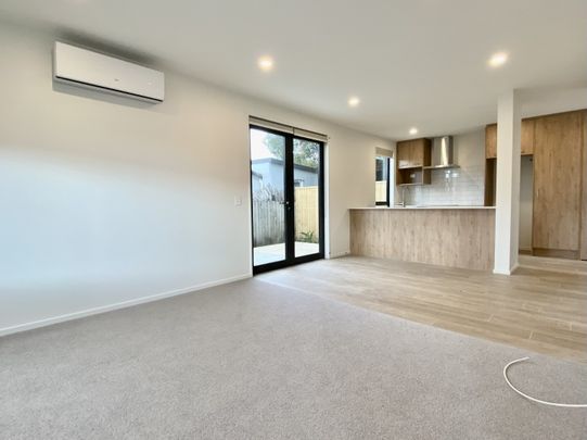 36A Hargest Crescent, Sydenham - Photo 1