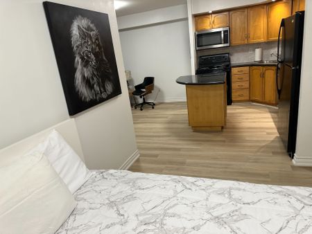 For Lease - 250 Wellington Street Unit# 436, Toronto, Ontario - Photo 3