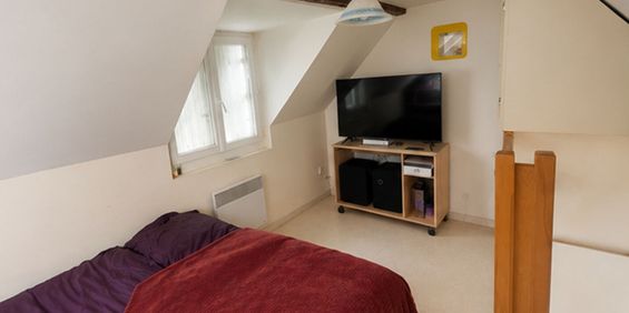 Location Appartement 1 pièce 16m² TOURS 37100 - Photo 3