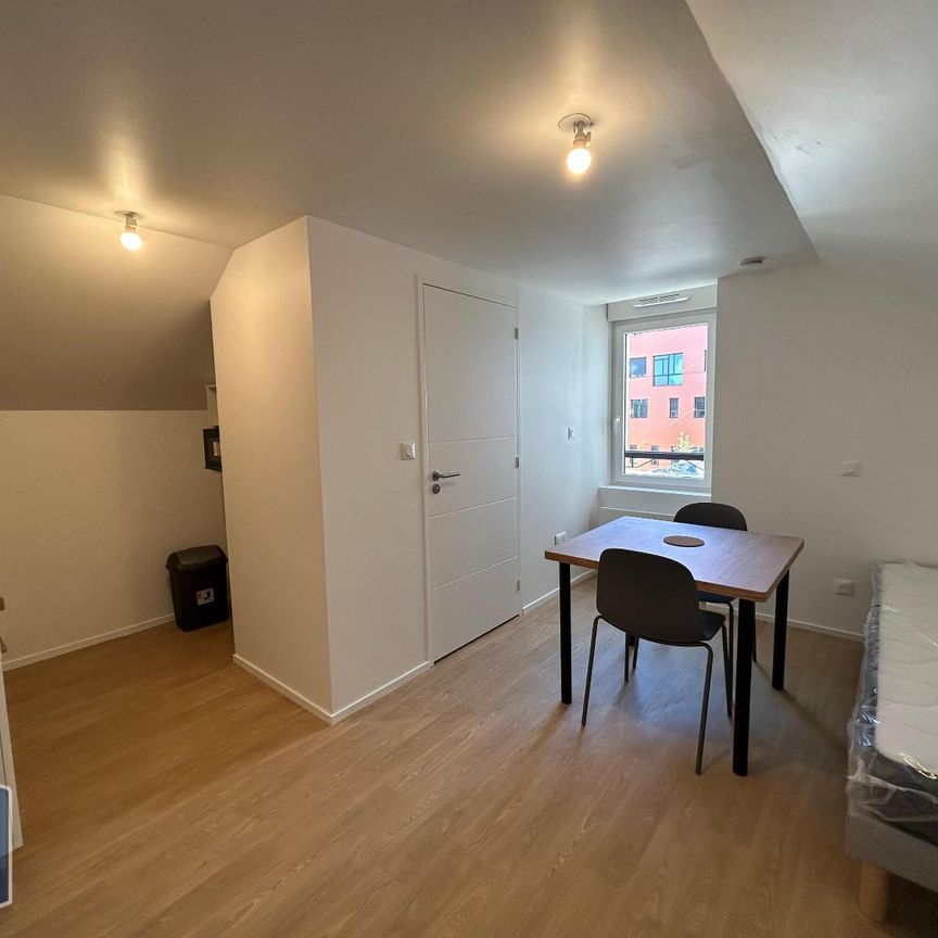Location Appartement 1 pièce 15m² LAVAL 53000 - Photo 1