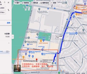 16 Maroubra Rd, Sydney - Photo 5