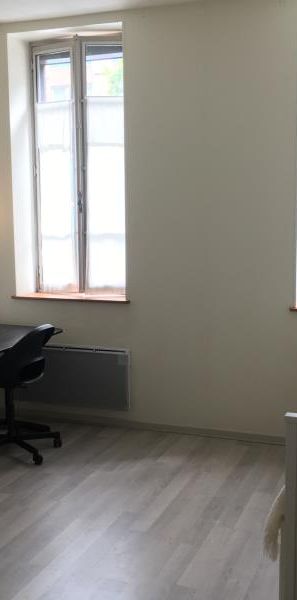 appartement TOULOUSE - 1 pièce(s) - 22 m2 - Photo 1