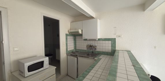 Location Appartement 1 pièce 19m² NARBONNE 11100 - Photo 2
