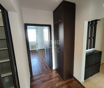 Byt 2+1 k pronájmu, Olomouc / Nová Ulice, ulice Brněnská - Fotografie 6