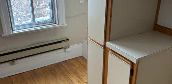 Appartement Plateau Mont Royal rue Garnier - Photo 2