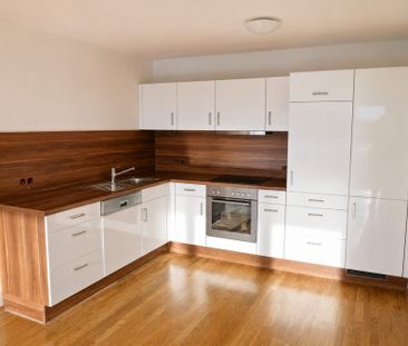 Lustenau: Schöne 2-Zimmer-Terrassenwohnung in Zentrumslage zu vermi... - Foto 3