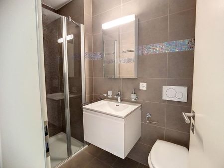 Sion – Joli studio à l’ouest de la ville, avec place de parc - Photo 5