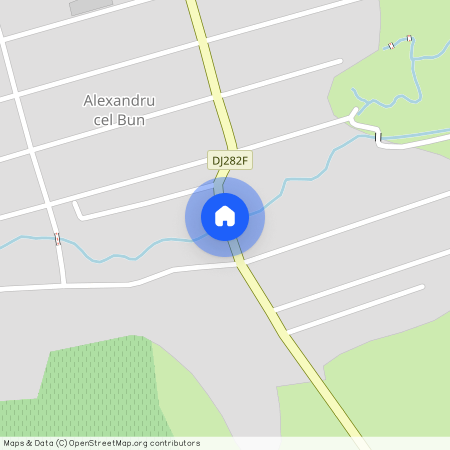 Alexandru cel Bun, Iasi