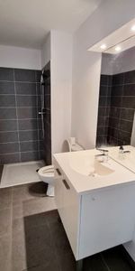 Location appartement 2 pièces, 49.00m², Cornebarrieu - Photo 3