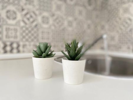 Calle el Pedroso, Sevilla, Andalusia 41008 - Photo 3