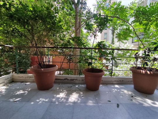 Διαμέρισμα για ενοικίαση Λυκαβηττός (Κολωνάκι - Λυκαβηττός) - Photo 1