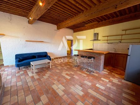 Location Appartement 2 pièces 65m² GRENOBLE 38000 - Photo 3