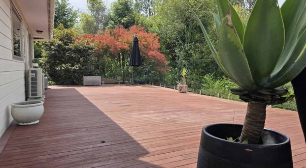 Pukehangi Paradise - Photo 1