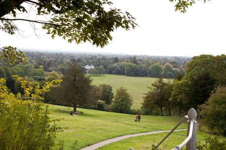 Stylish three bedroom family home with west facing garden near Richmond Park - Photo 4