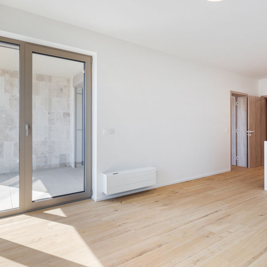 Pronájem bytu 2+kk 52 m², Dřevčická 2716, Brandýs nad Labem-Stará Boleslav - Photo 1