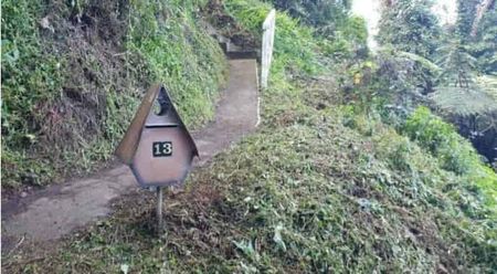 Bush-surrounded 2 bed flat in Aro Valley - Photo 5