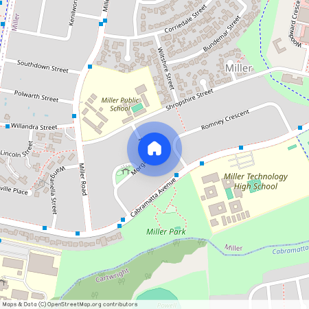 10 Morgan Street, NSW 2168, Miller