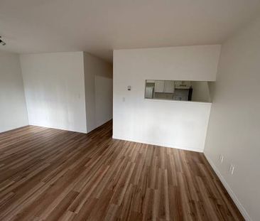 Spacious two bedroom suite in Mount Pleasant - Photo 4