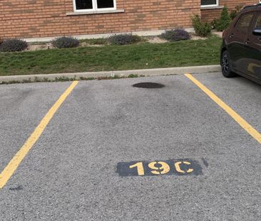 For Lease - 312 Spillsbury Drive Unit# 209, Peterborough, Ontario - Photo 4