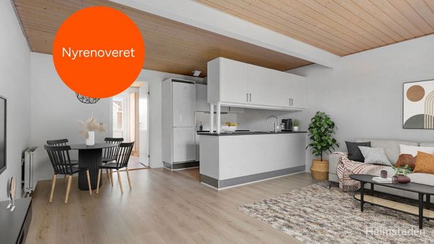 Attraktive lejeboliger i Fraugde, med plads til familien - Photo 1