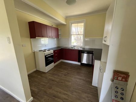 31 Dewhurst St, Werris Creek - Available Now - Photo 5