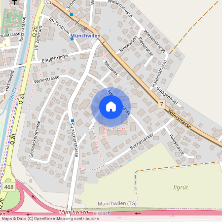 Neugrütstrasse 8, 9542 Münchwilen TG