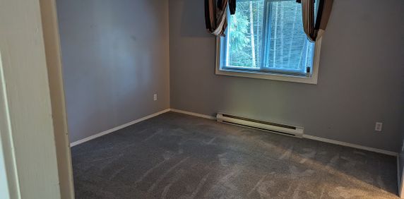 $1,500 / 1brm – NEW!!! Bright Lower Suite 1 bath Suite (Nanaimo) - Photo 2