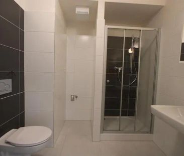 Pronájem bytu 1+kk, ulice Firkušného, Brno - lokalita Sadová, zahrádka - Fotografie 5