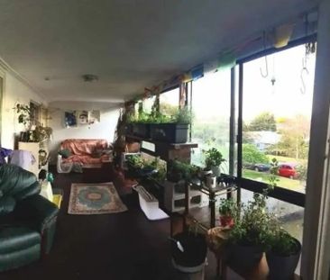 Holland Park West - Photo 4