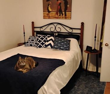 4 1/2 - Montréal (Montréal-Nord) - 1 520 $/mois - Photo 1