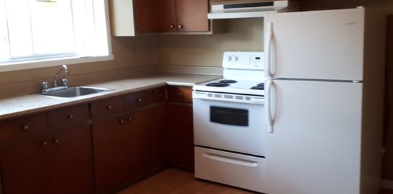 3 1/2 Secteur Universitaire - Photo 2