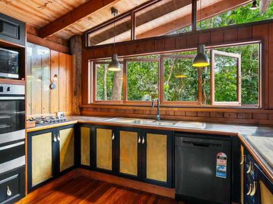 LIVE IN THE RAINFOREST!!!! - Photo 1