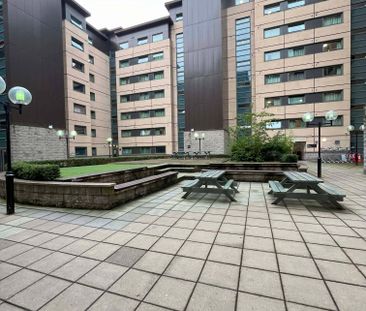 Double Partly Accessible Studio - Photo 4