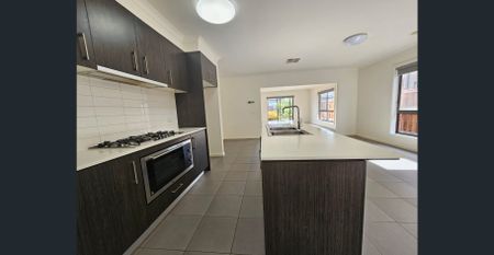 MASSIVE HOME! BEST POCKET OF SALTWATER COAST! LIFE-STYLE CENTRE! SCHOOLS! SHOPPING! PARKS, TRANSPORT AND MUCH MORE! - Photo 2