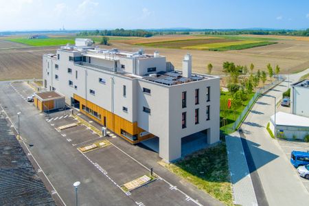 Erstbezug nächst Tulln mit 3 Zimmern und Balkon - Photo 4