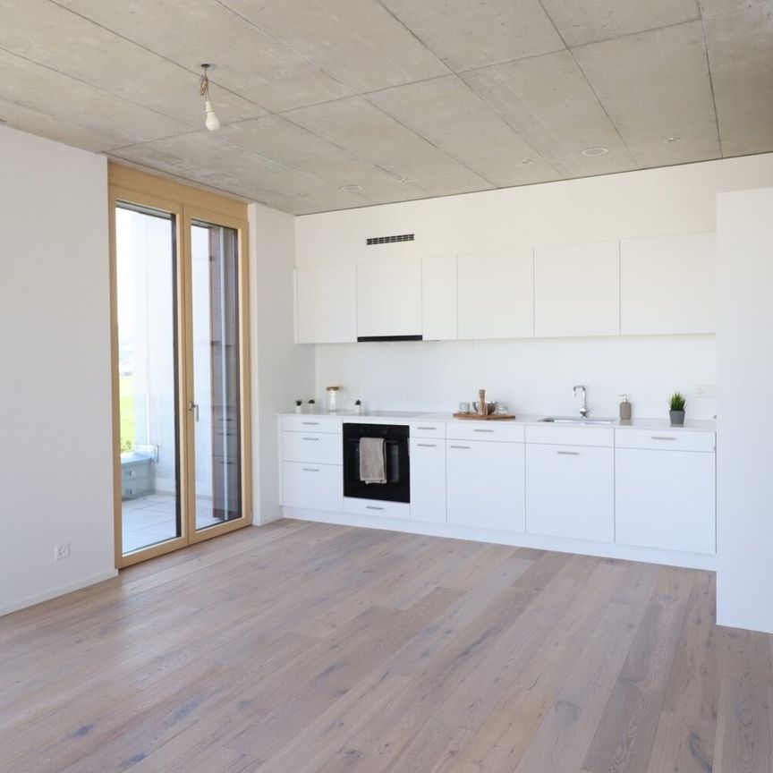 Moderne 2,5 Zimmerwohnung zu vermieten - Photo 1