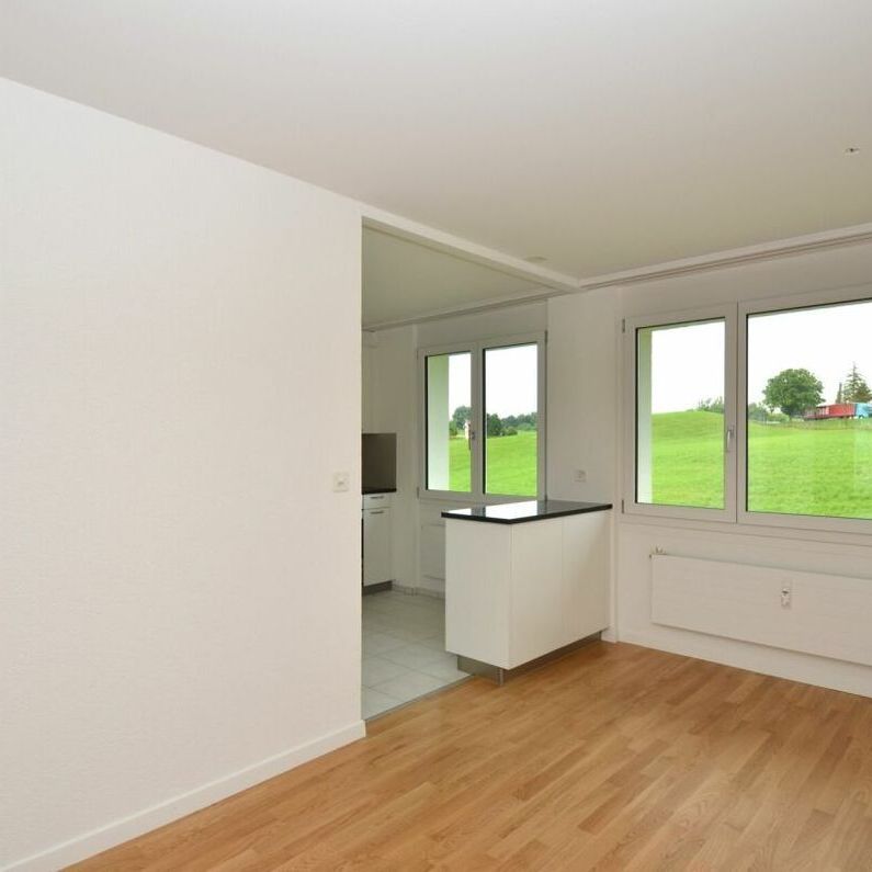 Wohlfühloase am Sonnenhang von Gossau - Foto 1