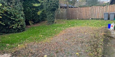 Bungalow te huur in Herenthout voor € 675 met 1 slaapkamer - Foto 5