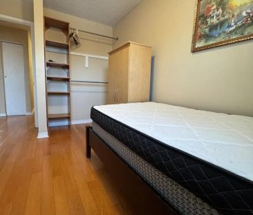 55 SNAPDRAGON DRIVE - Photo 6