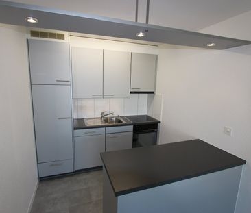 3 Zimmer, 61 m², EG - Foto 2
